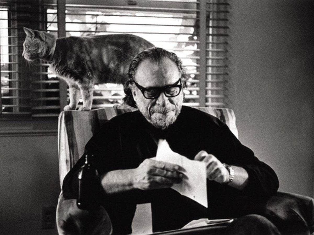 Bukowski, um velho safado apaixonado por gatos - Vegazeta