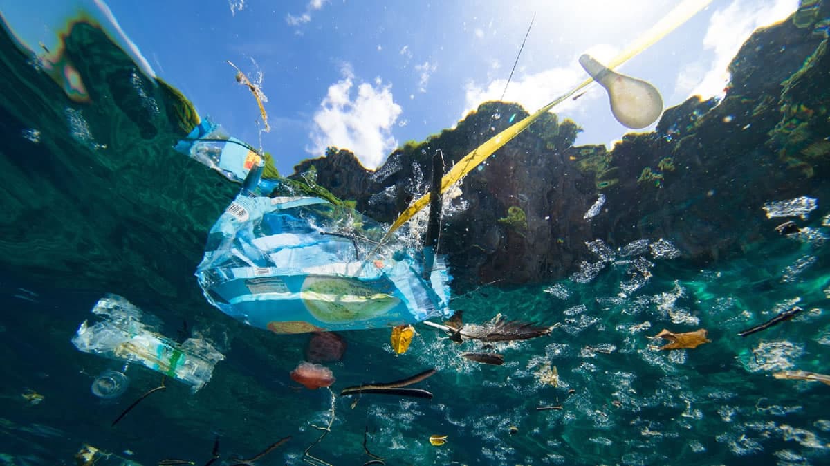 Brasil pode ganhar Dia de Combate à Poluição nos Oceanos Vegazeta