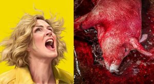 Pluribus-bem-estar-animal - Temos o direito de matar um animal porque o tratamos “bem”?