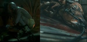 Temos o direito de criar vidas condenadas ao sofrimento?