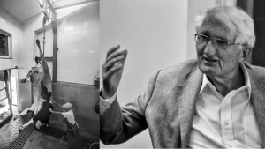 Uma crítica ao veganismo de mercado a partir do pensamento de Habermas