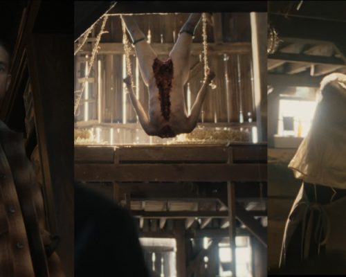 Por que fazemos com animais o que psicopatas fazem com humanos