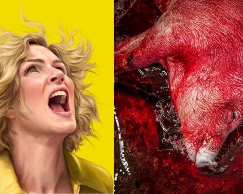 Temos o direito de matar um animal porque o tratamos “bem”