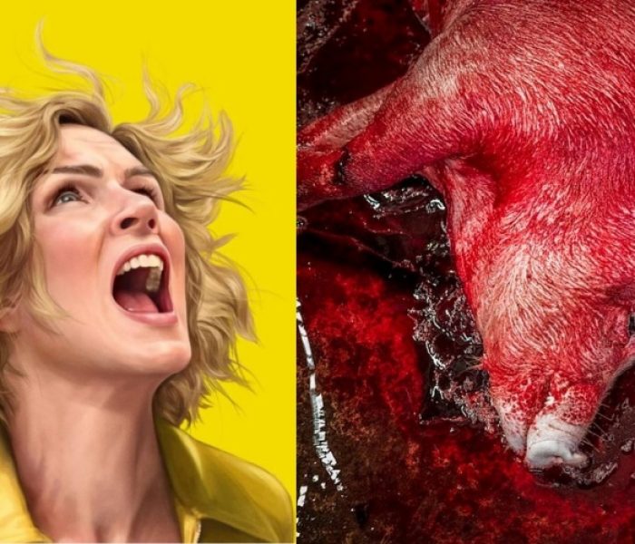 Temos o direito de matar um animal porque o tratamos “bem”