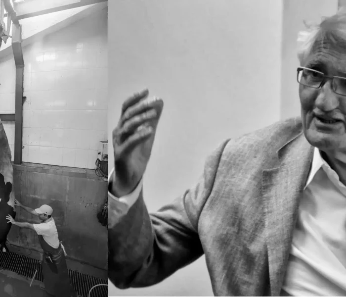 Uma crítica ao veganismo de mercado a partir do pensamento de Habermas