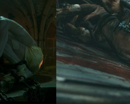 criar vidas condenadas ao sofrimento